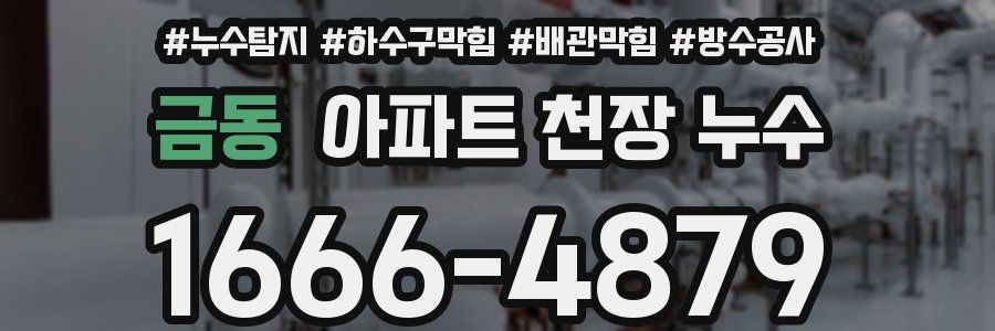 금동 아파트 천장 누수