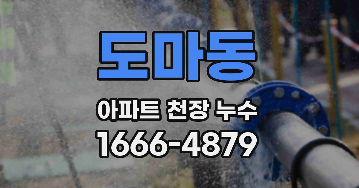 도마동 아파트 천장 누수
