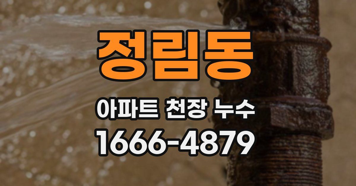 정림동 아파트 천장 누수