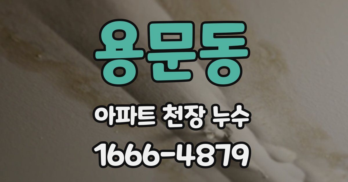 용문동 아파트 천장 누수