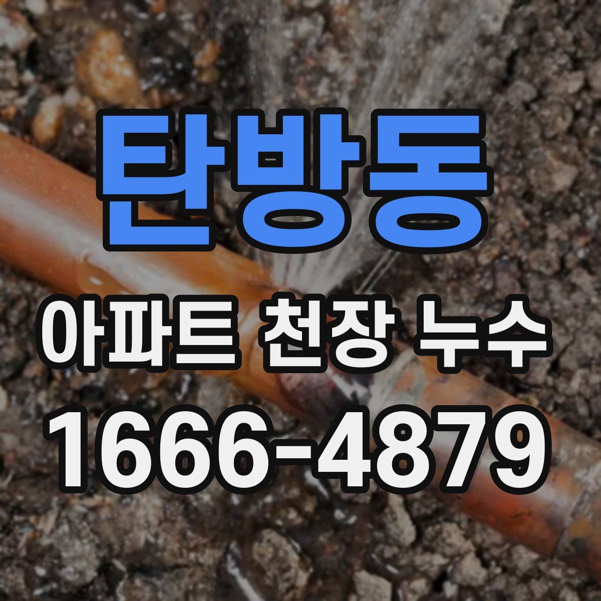 탄방동 아파트 천장 누수