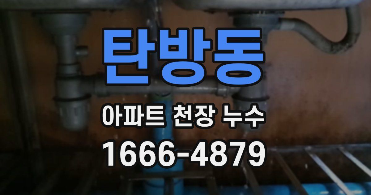 탄방동 아파트 천장 누수