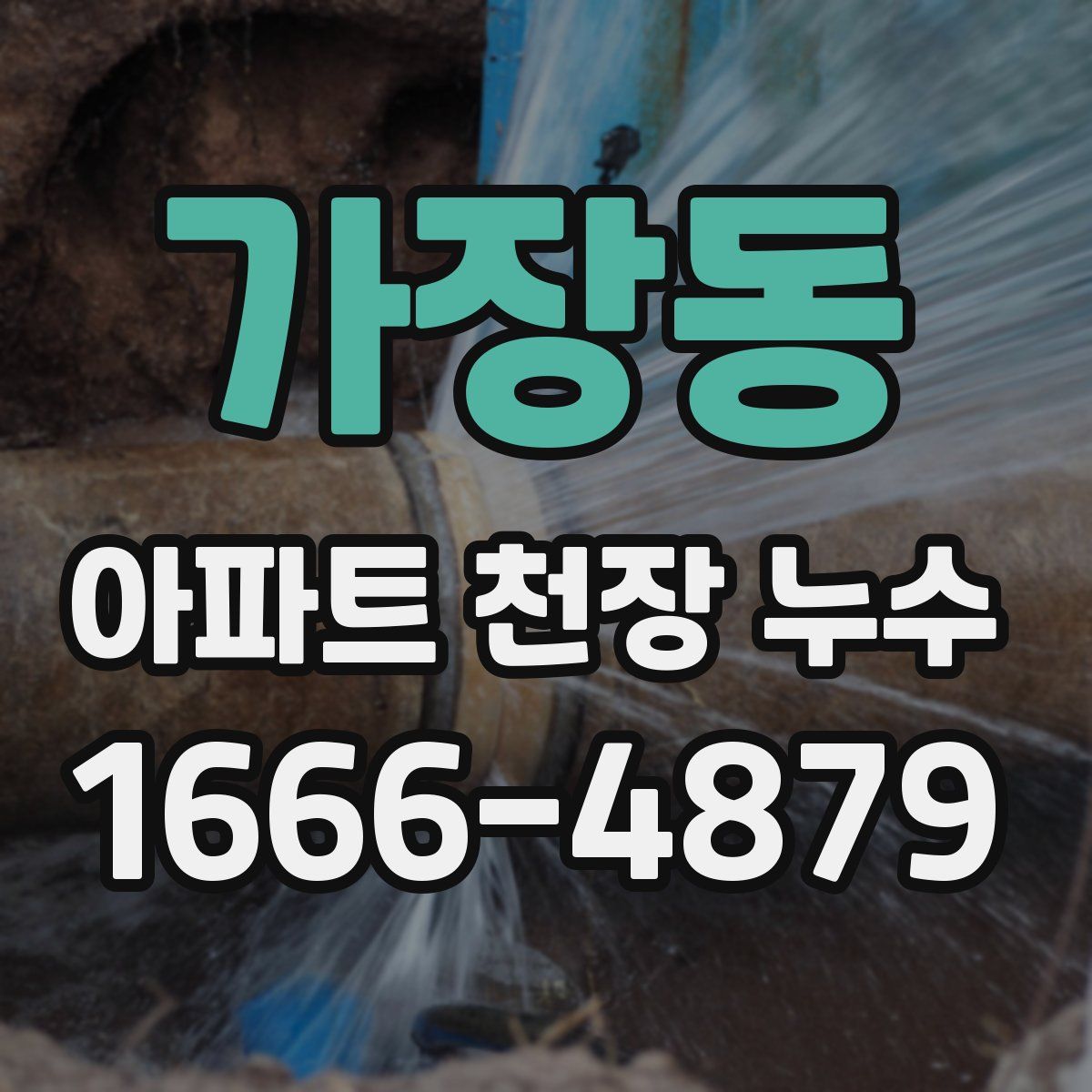 가장동 아파트 천장 누수