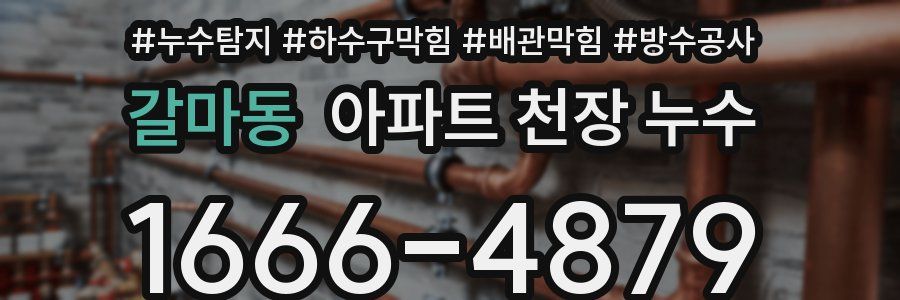 갈마동 아파트 천장 누수