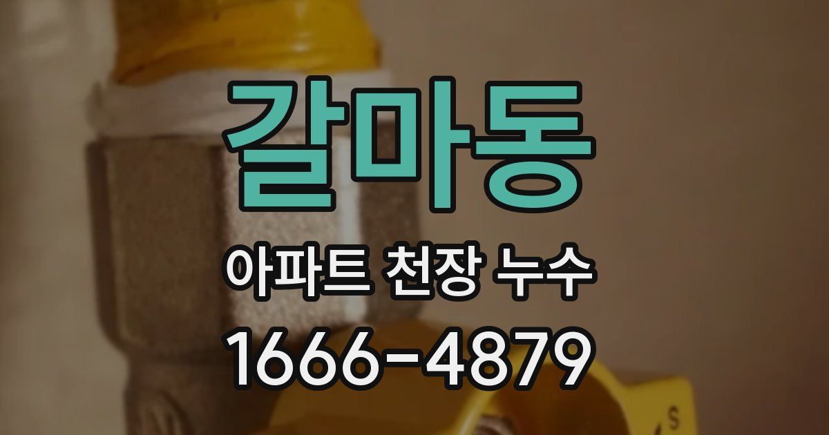 갈마동 아파트 천장 누수