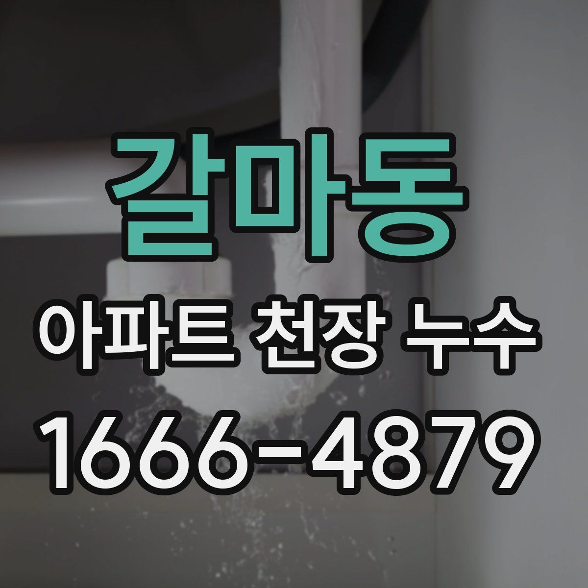 갈마동 아파트 천장 누수