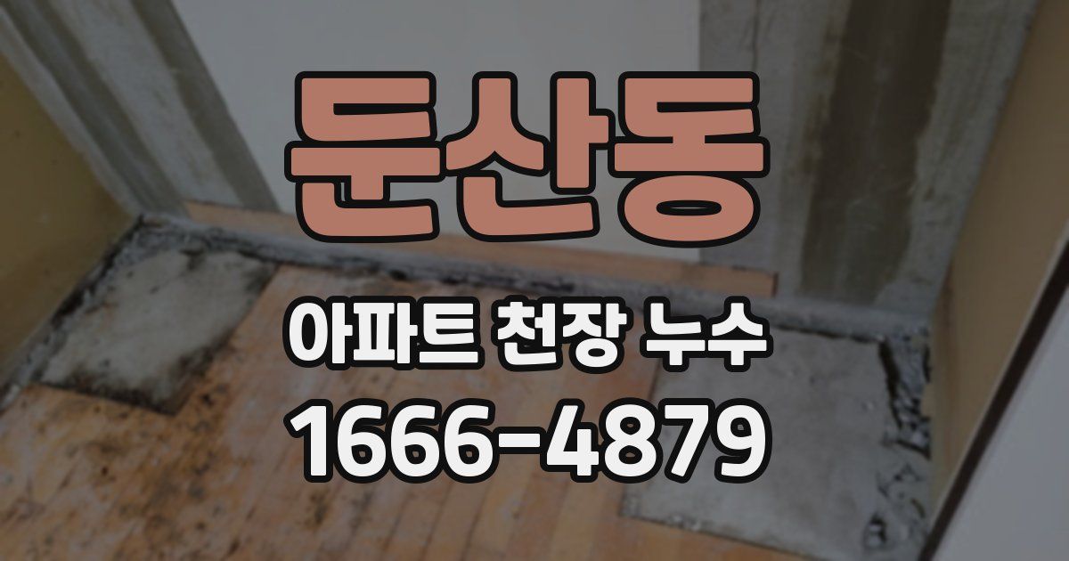둔산동 아파트 천장 누수