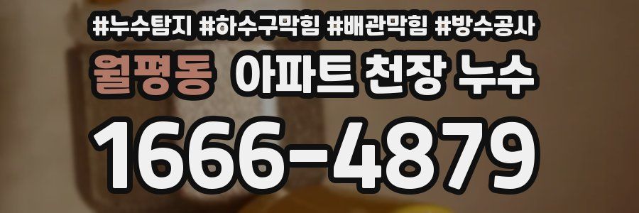 월평동 아파트 천장 누수