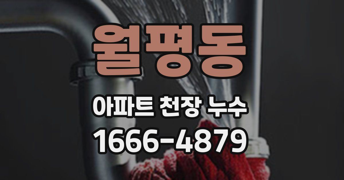 월평동 아파트 천장 누수