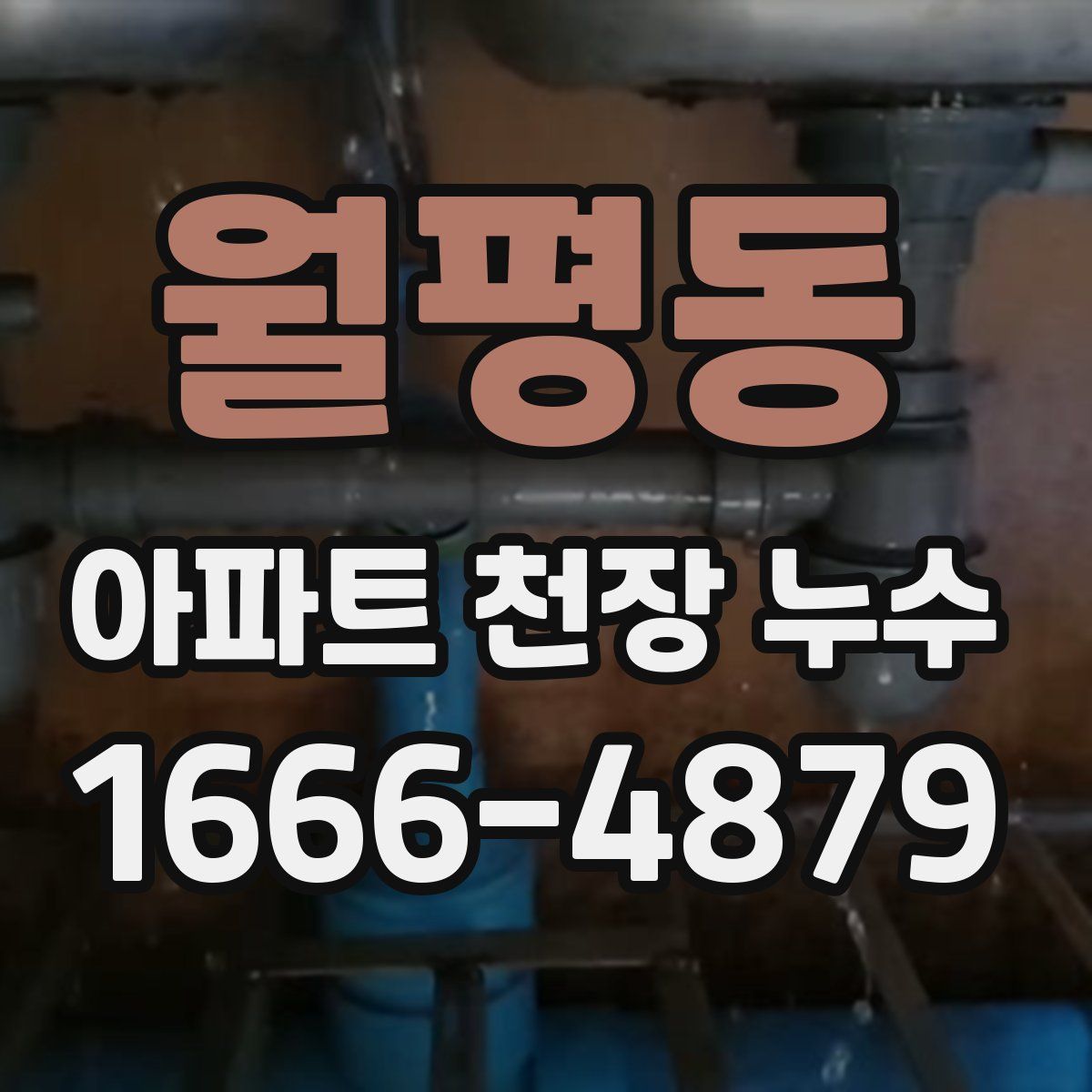 월평동 아파트 천장 누수