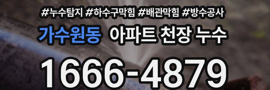 가수원동 아파트 천장 누수