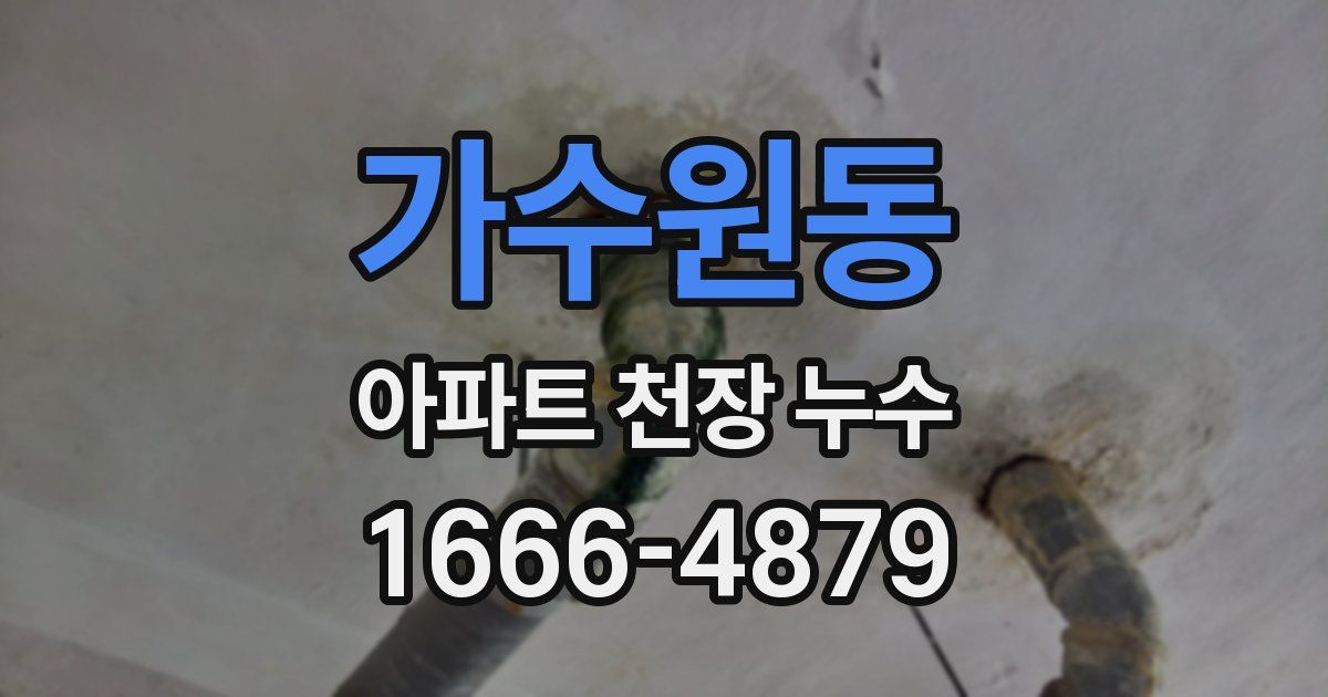 가수원동 아파트 천장 누수