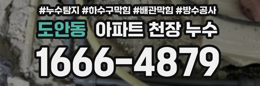 도안동 아파트 천장 누수