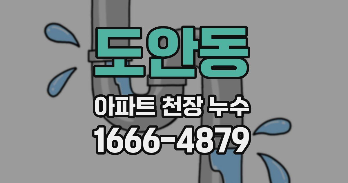 도안동 아파트 천장 누수