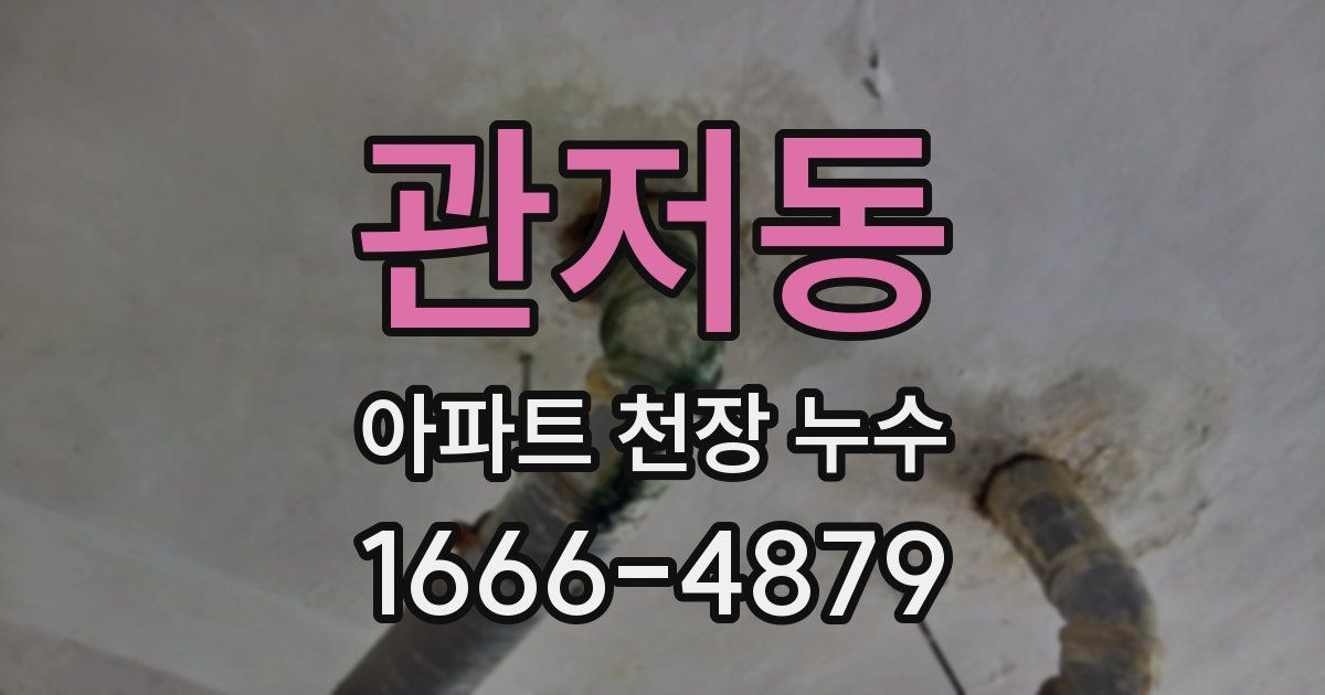 관저동 아파트 천장 누수