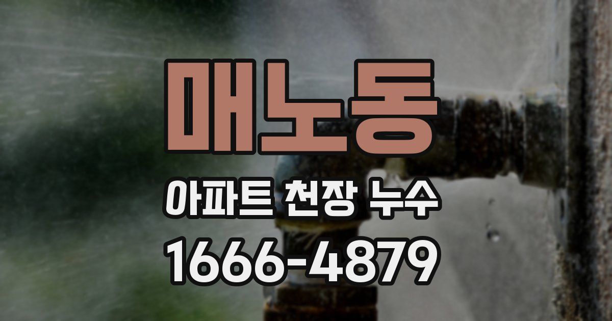 매노동 아파트 천장 누수