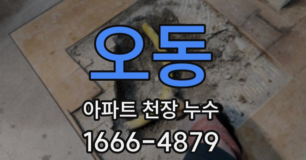 오동 아파트 천장 누수