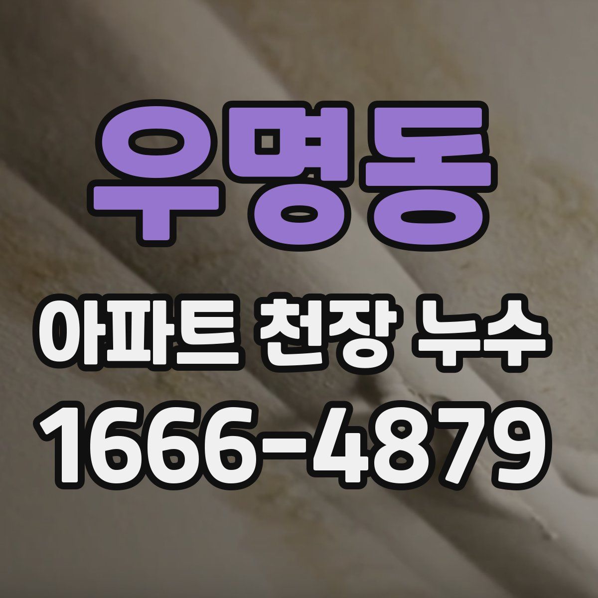 우명동 아파트 천장 누수
