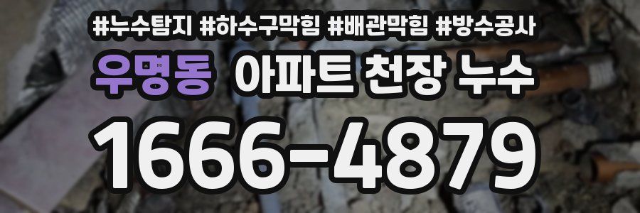 우명동 아파트 천장 누수
