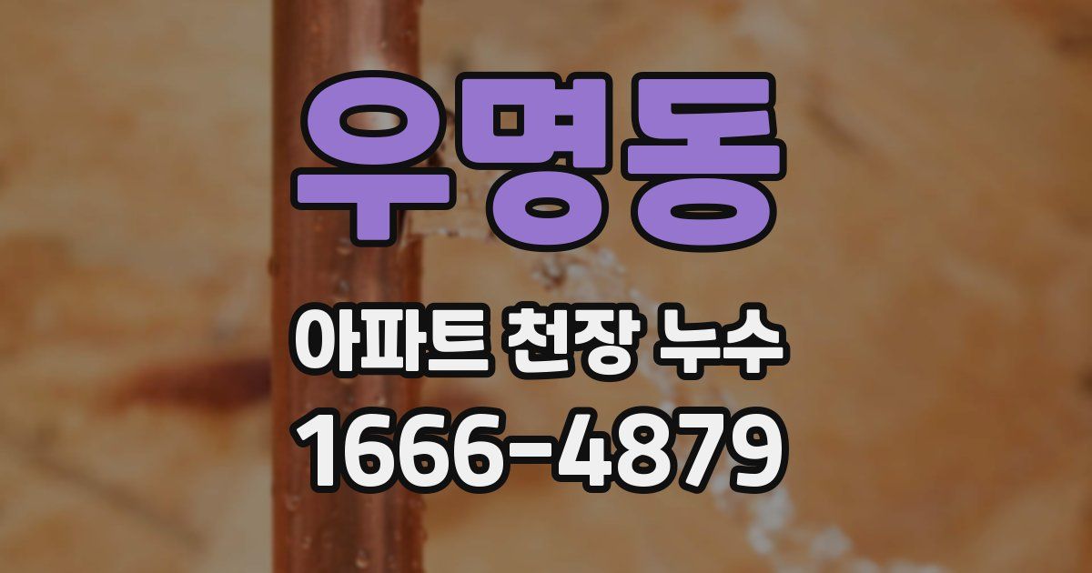 우명동 아파트 천장 누수