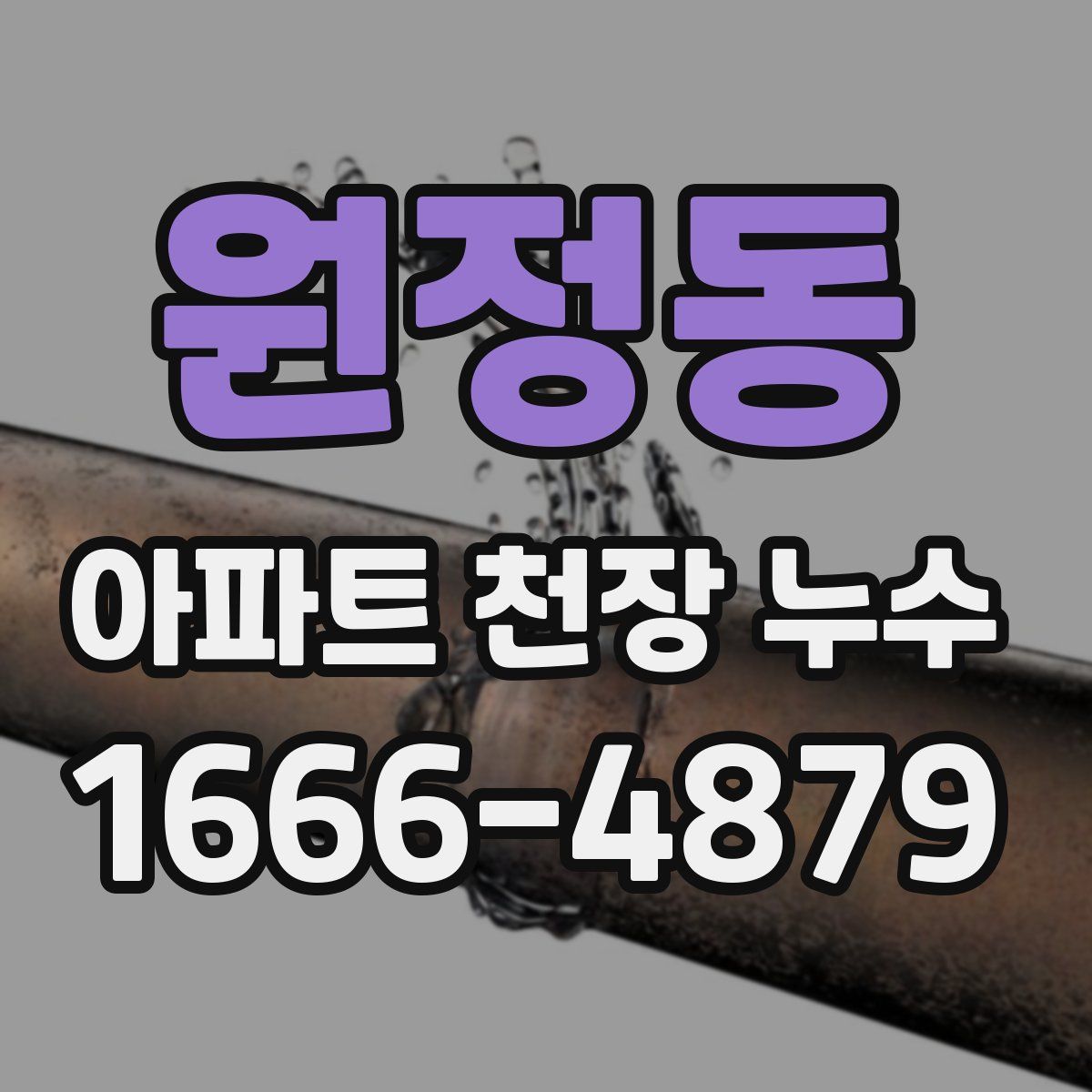 원정동 아파트 천장 누수
