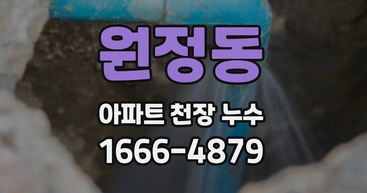 원정동 아파트 천장 누수