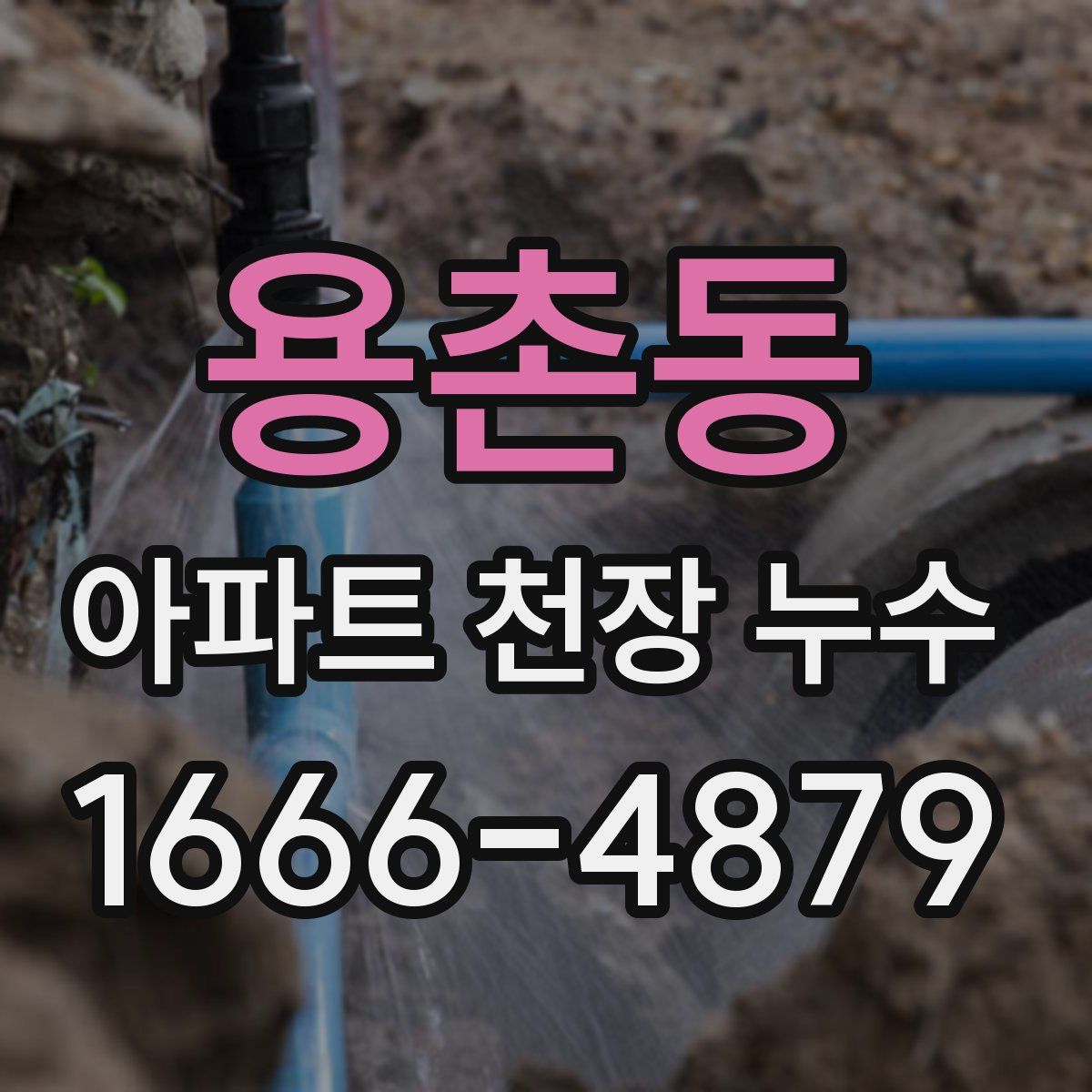 용촌동 아파트 천장 누수