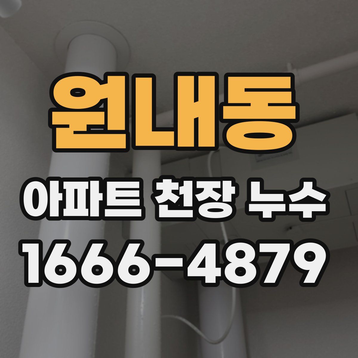 원내동 아파트 천장 누수