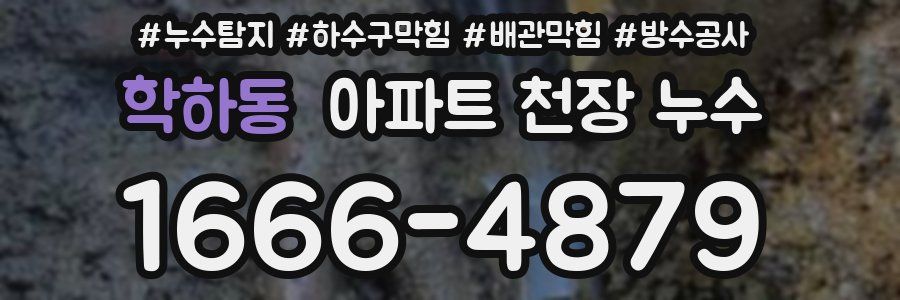 학하동 아파트 천장 누수