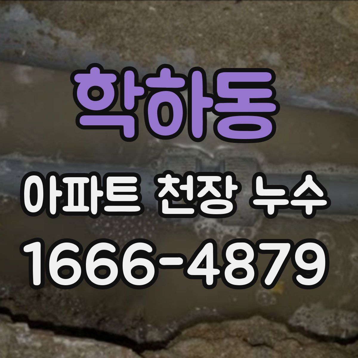 학하동 아파트 천장 누수