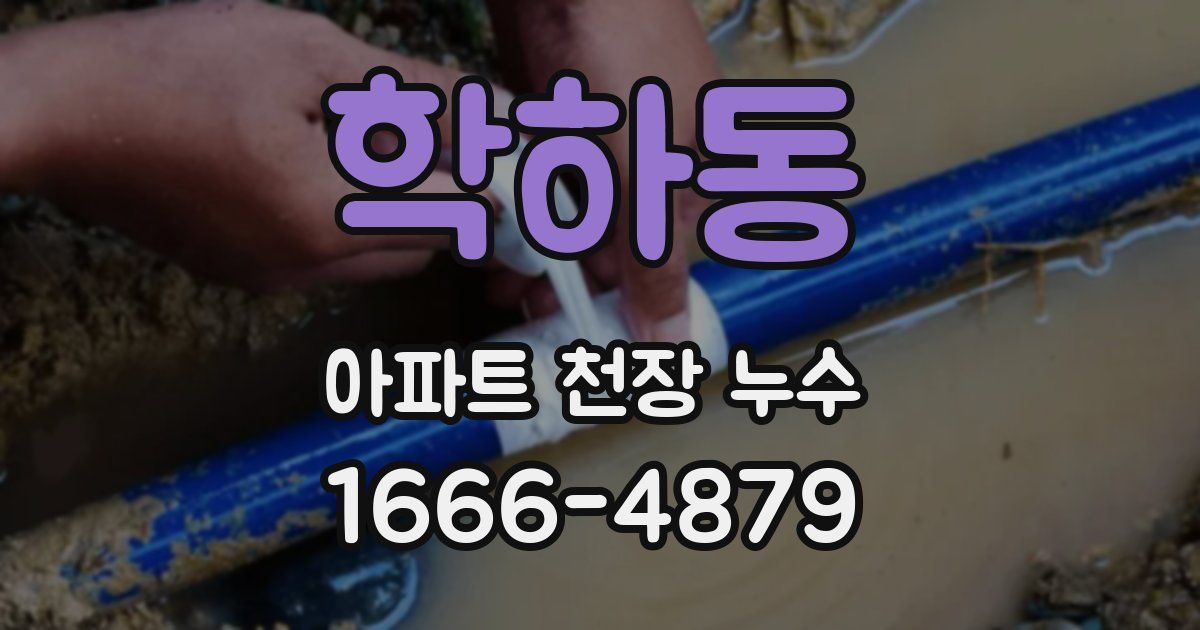 학하동 아파트 천장 누수