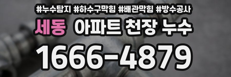 세동 아파트 천장 누수