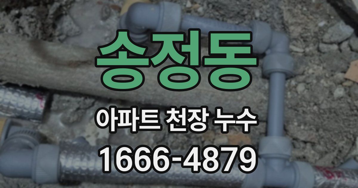 송정동 아파트 천장 누수