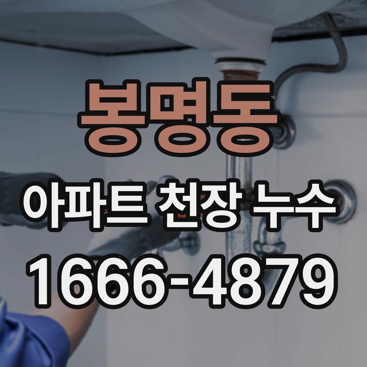 봉명동 아파트 천장 누수