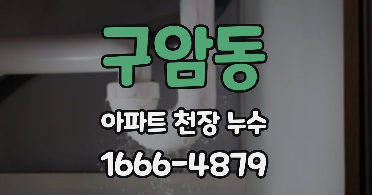 구암동 아파트 천장 누수