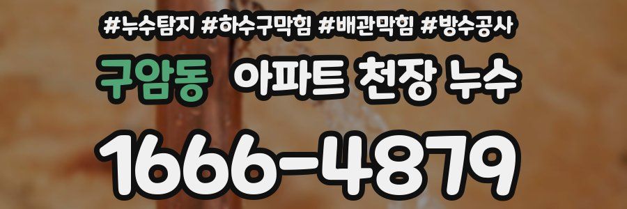 구암동 아파트 천장 누수