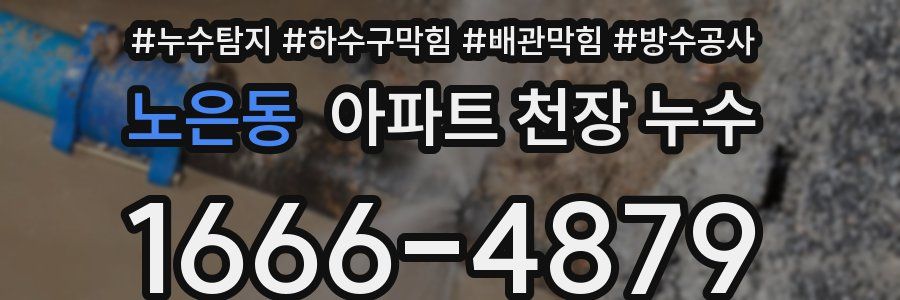 노은동 아파트 천장 누수