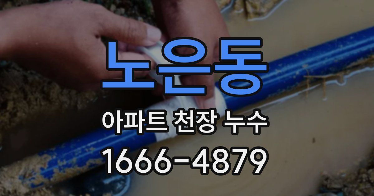 노은동 아파트 천장 누수