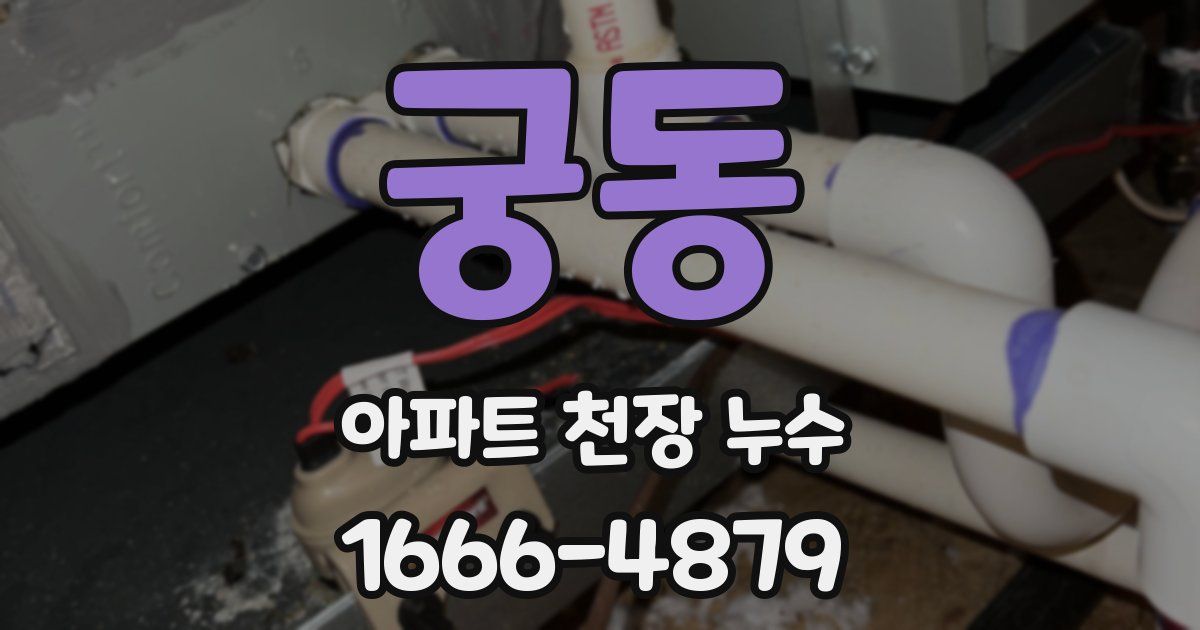 궁동 아파트 천장 누수