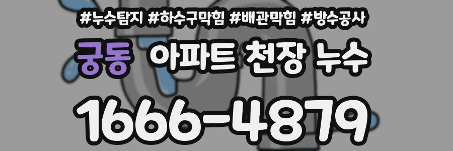 궁동 아파트 천장 누수