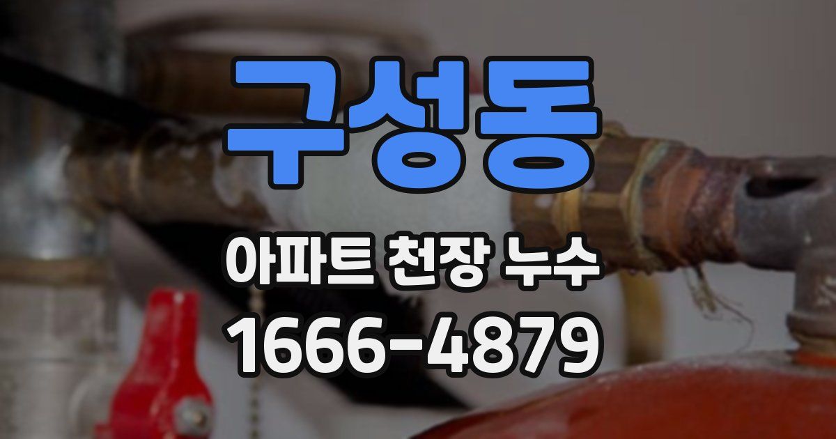 구성동 아파트 천장 누수