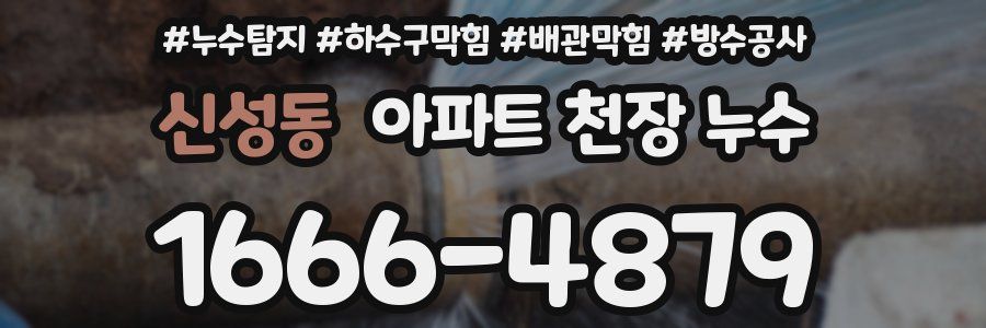 신성동 아파트 천장 누수