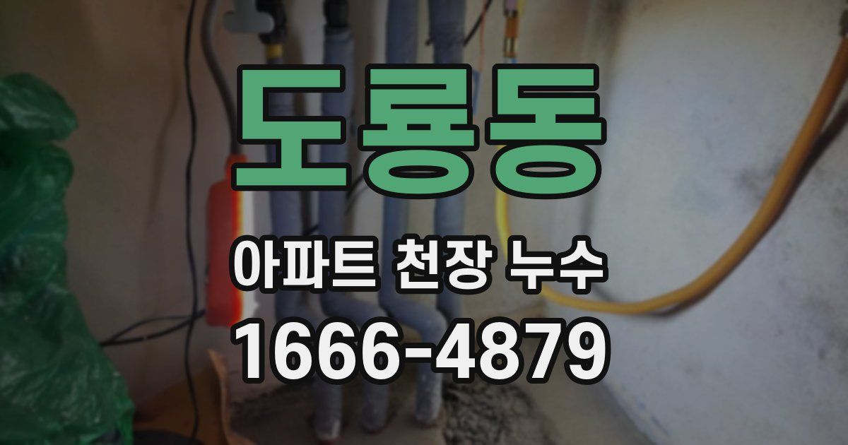 도룡동 아파트 천장 누수