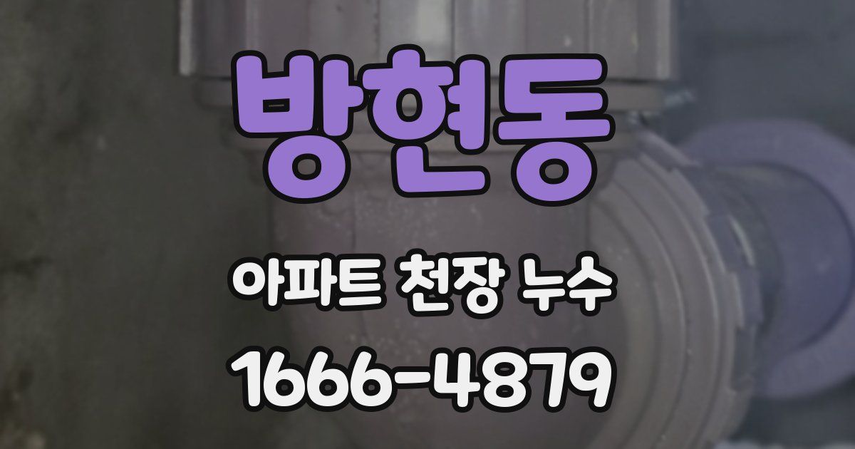 방현동 아파트 천장 누수