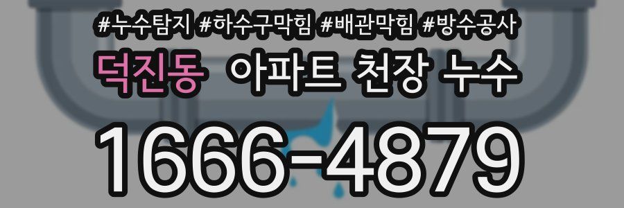 덕진동 아파트 천장 누수
