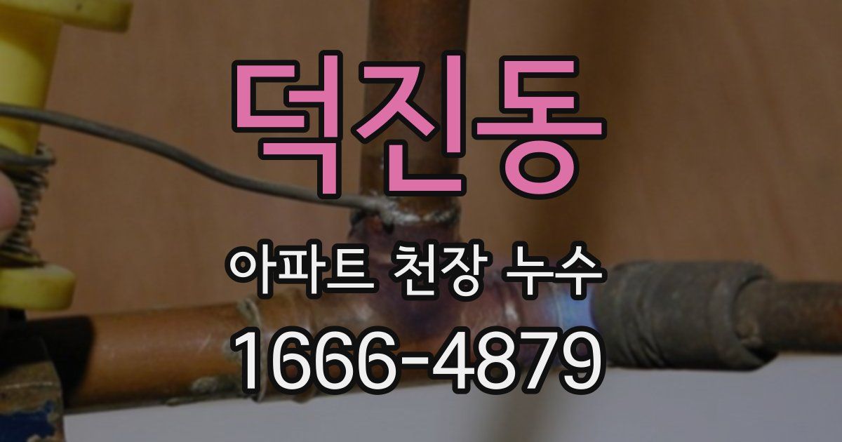 덕진동 아파트 천장 누수