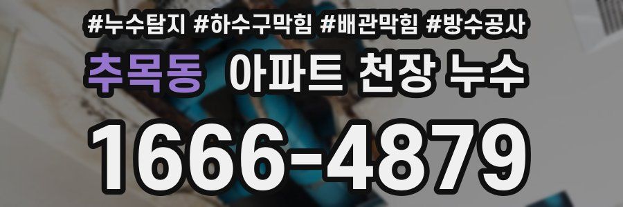 추목동 아파트 천장 누수