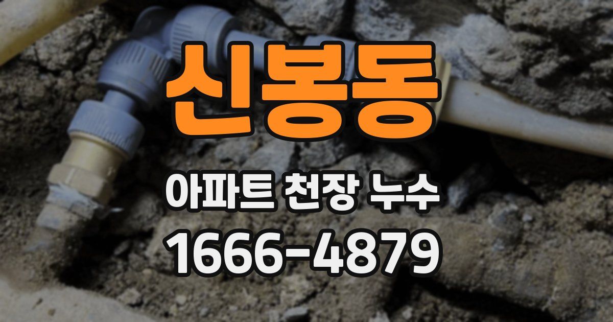 신봉동 아파트 천장 누수