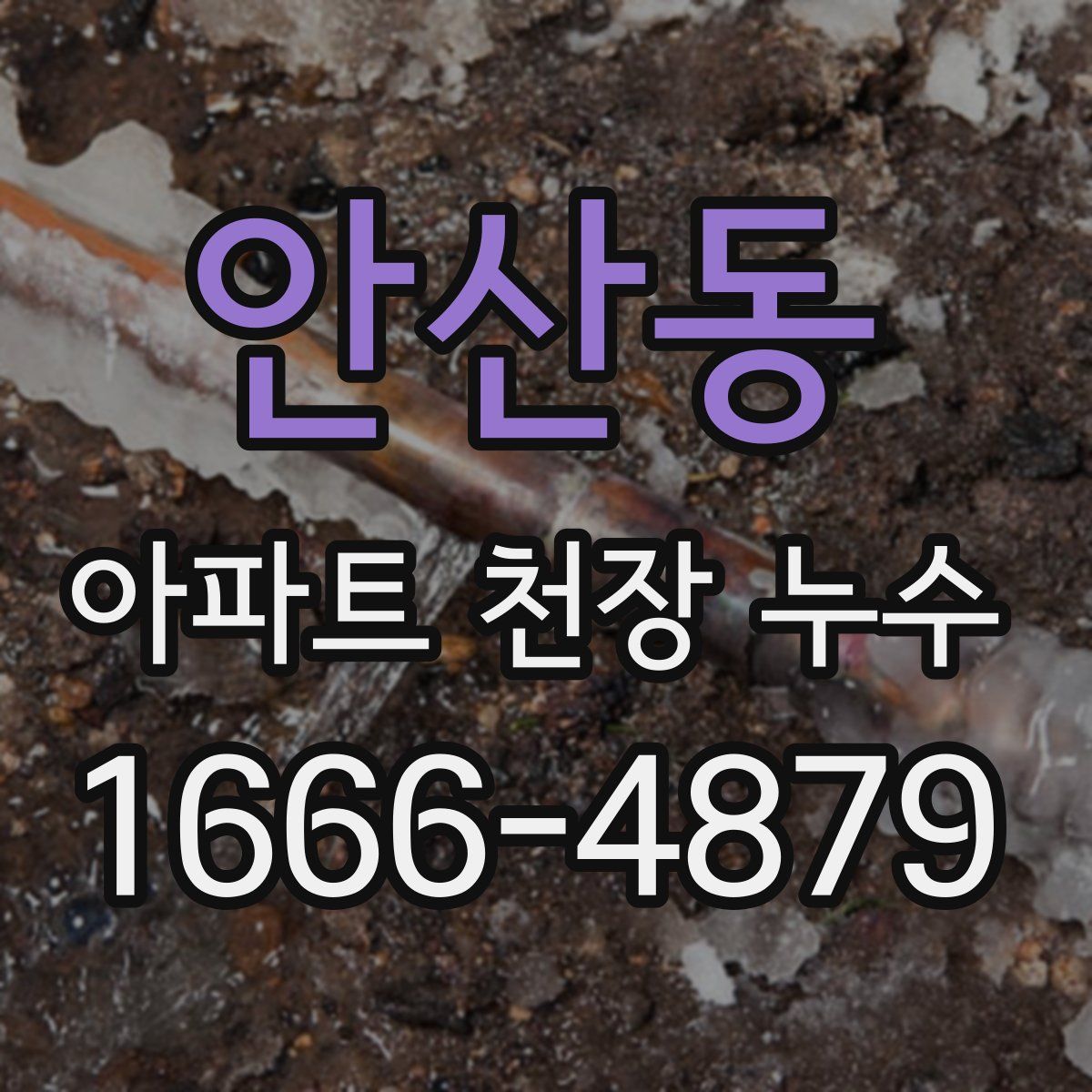 안산동 아파트 천장 누수