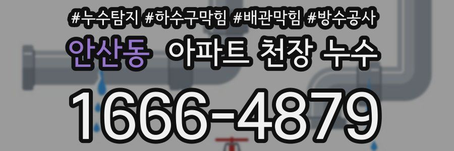 안산동 아파트 천장 누수